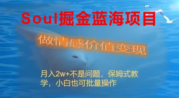 Soul软件掘金玩法，小众情感价值赚钱项目，持续稳定月入2W+-聚财技资源库