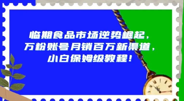 揭秘临期食品市场创业项目，月销百万的万粉账号新渠道，新手保姆级实操教程-聚财技资源库