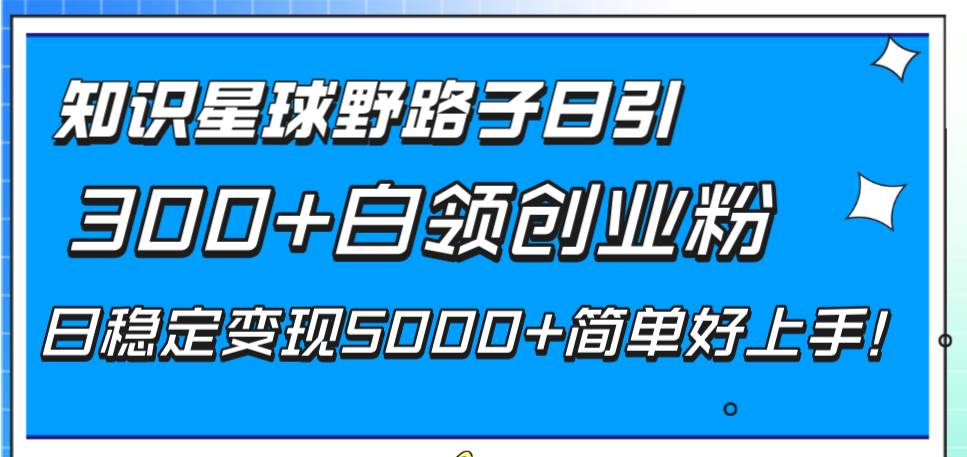 知识星球野路子：每日引流300+白领创业粉，实现稳定单日5000+收入，简单粗暴易上手！-聚财技资源库