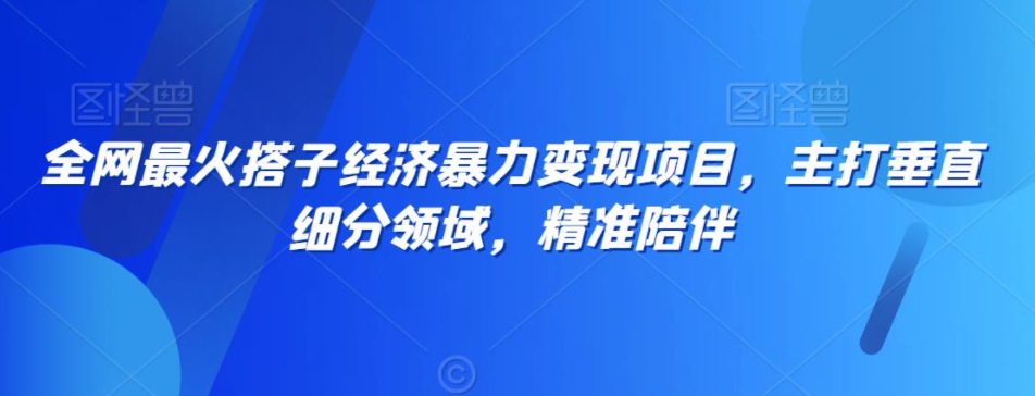 全网独家！搭子经济新风口，精准垂直细分搭子项目-聚财技资源库