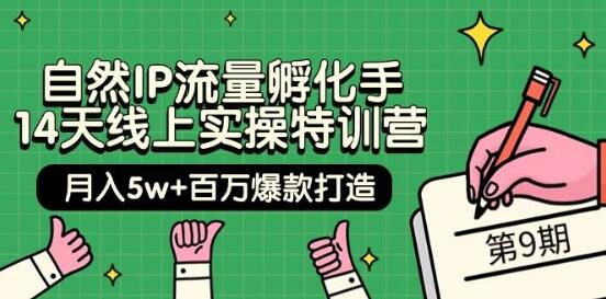 自然IP流量孵化实操特训营：14天线上打造百万爆款，零基础也能快速上手-聚财技资源库