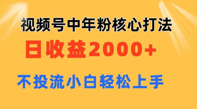 视频号中年粉运营，日收益2000+无需投流，小白也能轻松掌握！-聚财技资源库