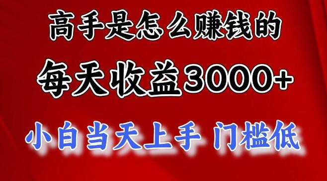 揭秘高手日入3000+的秘密，穷人逆风翻盘必备项目大公开-聚财技资源库