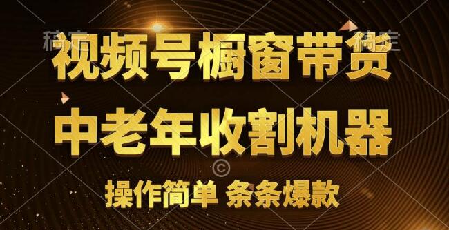 视频号爆火赛道揭秘，橱窗带货策略，流量分成计划，原创爆款连连！-聚财技资源库