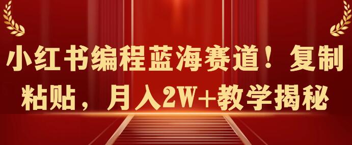 小红书编程蓝海赛道揭秘：轻松复制粘贴，月入2W+教学全攻略！-聚财技资源库