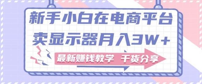 新手小白电商秘籍，月销显示器3W+实战教学，最新赚钱干货大公开！-聚财技资源库