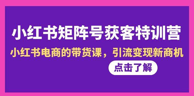 小红书带货新风口：矩阵号获客特训营第10期，揭秘引流变现秘籍！-聚财技资源库