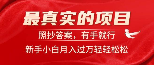 实战项目揭秘，零基础复制成功模式，新手友好，月入过万-聚财技资源库