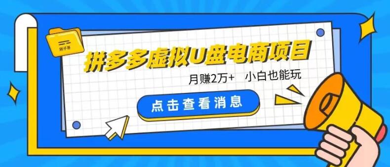 拼多多虚拟U盘电商项目玩法，轻松月入2万+，新手也能快速上手-聚财技资源库