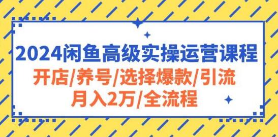 闲鱼高级运营实战课，开店养号+爆款选择+高效引流，全流程解析，月入2万+-聚财技资源库