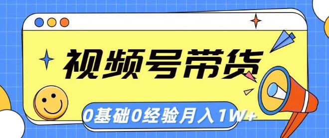 视频号轻创业，零基础带货攻略，一个月突破1w+-聚财技资源库