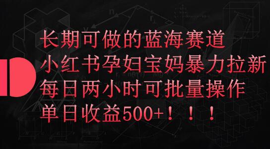 小红书孕妈拉新策略：日赚500+，仅需每日两小时，高效且实用-聚财技资源库