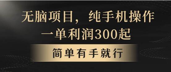 无脑赚钱项目揭秘：每单收入几百，月入5W+，简单易上手，看完即操作！-聚财技资源库