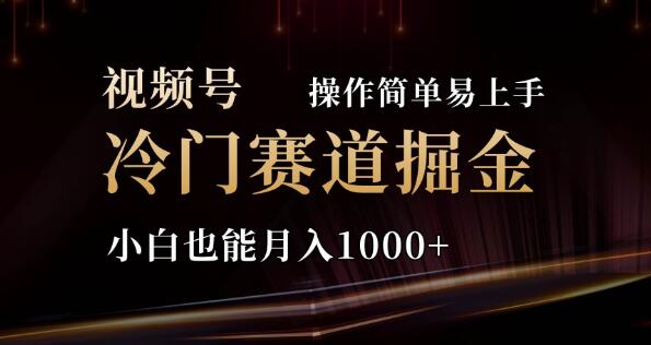 2024视频号三国冷门赛道，轻松上手，小白月入1000+！-聚财技资源库