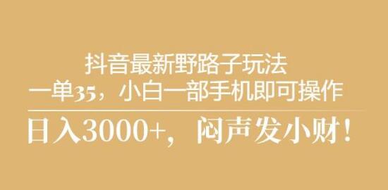 抖音野路子玩法揭秘，每单35+，小白手机轻松操作，快速上手！-聚财技资源库