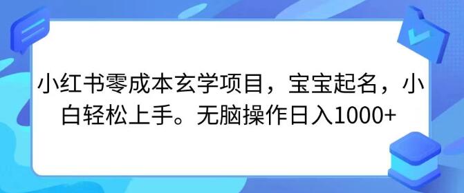 小红书玄学起名项目，零成本、易上手，日入1000+-聚财技资源库