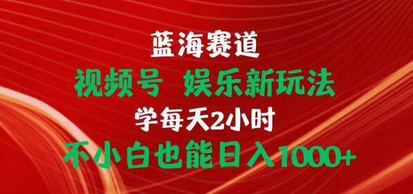 蓝海赛道视频号揭秘，娱乐新玩法，每日2小时投入，小白也能日入1000+！-聚财技资源库