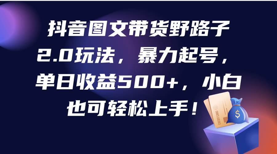 抖音图文带货野路子2.0玩法实战，快速起号日入500+，新手也能轻松上手！-聚财技资源库