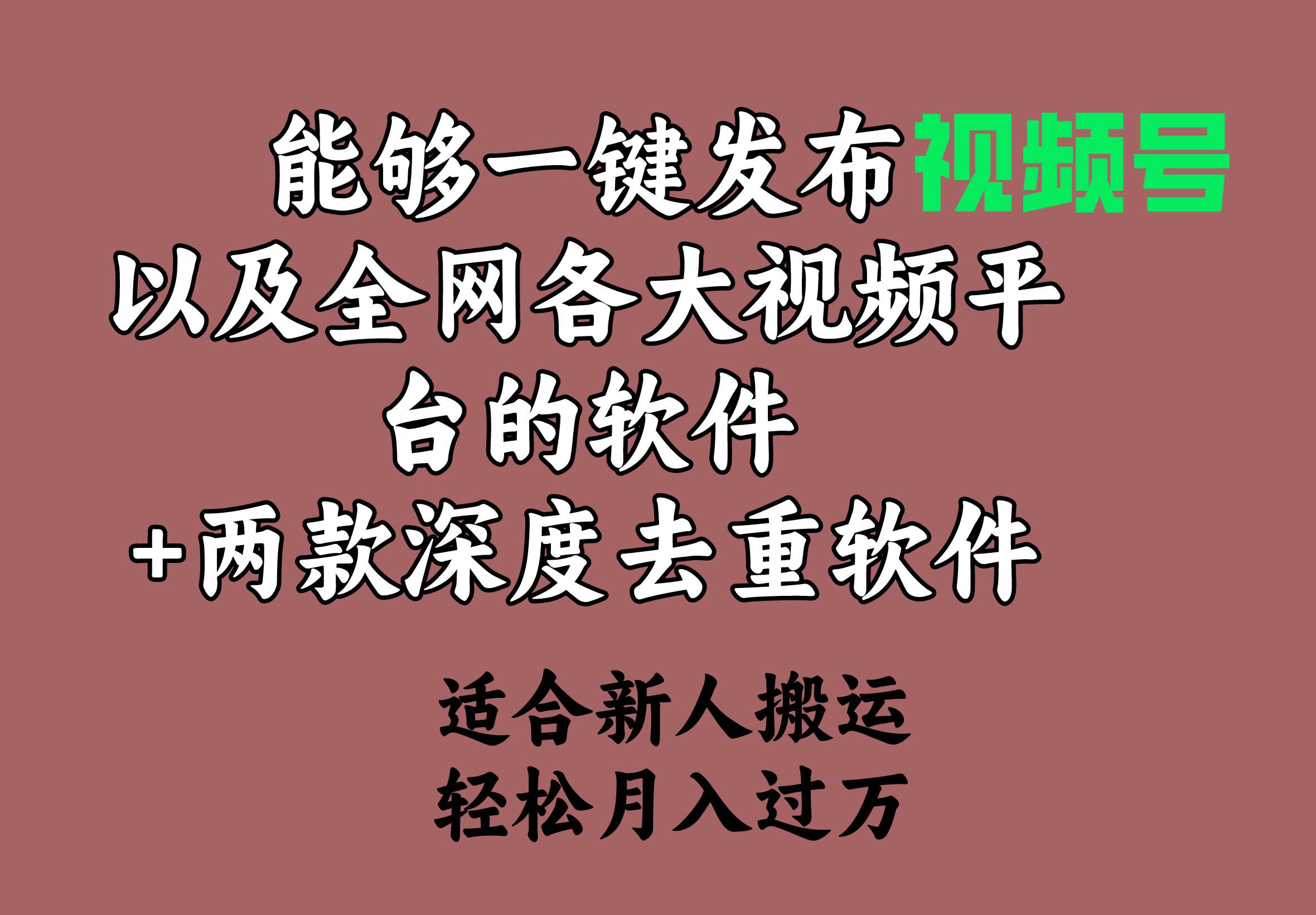 一键分发视频至全网平台的神器+高效去重工具，轻松创作，月收入超万元-聚财技资源库