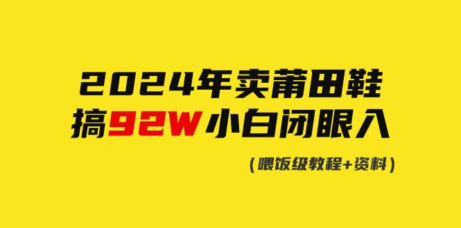 2024年卖莆田鞋赚92万，小白也能简单操作的赚钱攻略！-聚财技资源库