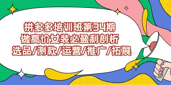 拼多多高价女装盈利攻略：第34期培训营（深入剖析选品、测款、运营、推广及拓展策略）-聚财技资源库