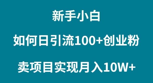 新手小白月入10W+秘诀：轻松卖项目，快速实现财富增长！-聚财技资源库