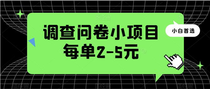 问卷调查小项目，每个2-5元，日入50-100零花钱，简单又便捷！-聚财技资源库