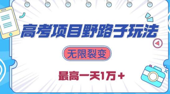 【2024高考项目野路子玩法揭秘】无限裂变，最高日入1W+-聚财技资源库