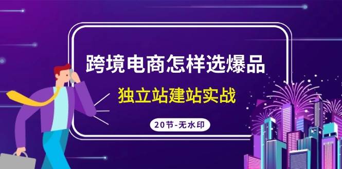 跨境电商爆品选择与独立站搭建教程，20节专业高清视频课程！-聚财技资源库