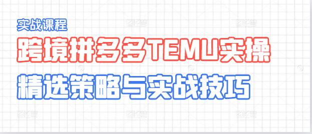 跨境拼多多TEMU实操指南，精选策略与实战技巧，助你高效选品与运营-聚财技资源库