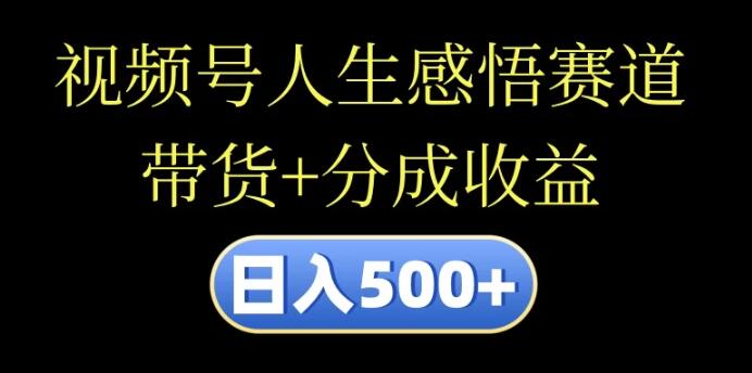 视频号人生感悟赛道，带货分成双收益，日入500+，10分钟高效视频创作法！-聚财技资源库