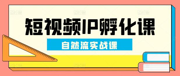 掌握自然流量密码，短视频IP孵化实战课程，从零到百万粉丝的蜕变之路-聚财技资源库