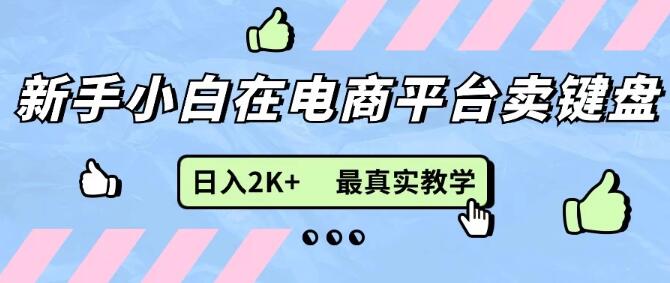 0成本无货源电商模式，新手友好，后端全力扶持，日入2K+详细教学，轻松上手-聚财技资源库