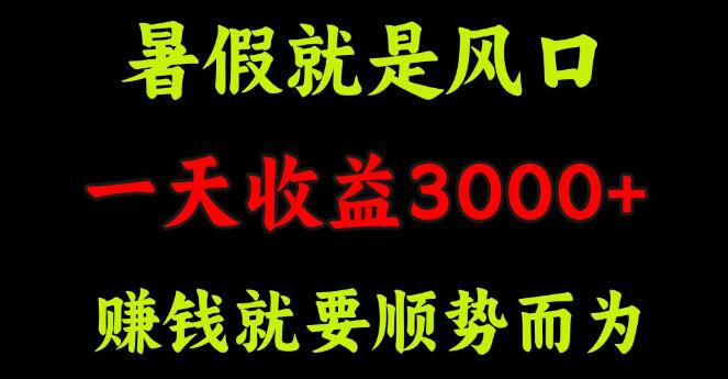 暑假赚钱秘籍，抓住风口，日入3000+，顺势而为轻松致富！-聚财技资源库