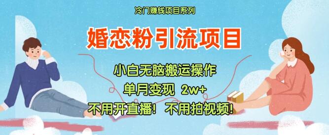 小红书高效婚恋粉引流秘籍，无直播、无视频、零交付，轻松获客新途径-聚财技资源库