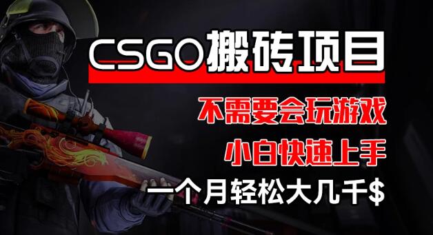 CSGO装备搬砖项目，零基础小白快速上手，月入大几千-聚财技资源库