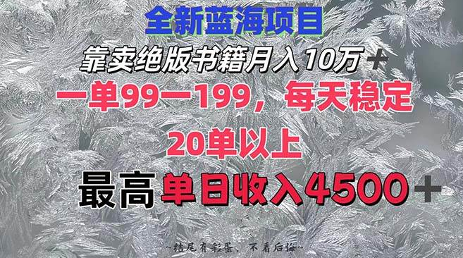 揭秘绝版书籍市场新蓝海，月入10W+，单价99-199，日均20单，最高日入4500+-聚财技资源库