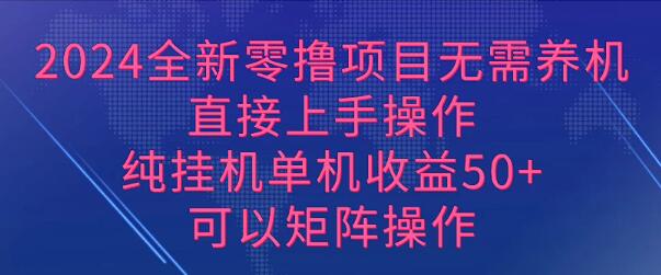 2024全新零撸项目，无需养机，直接上手操作纯挂机单机收益50+，可以批量操作-聚财技资源库