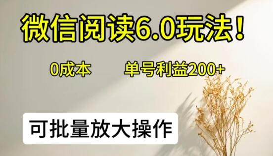 微信阅读6.0全新玩法揭秘，0成本起步，单号日入200+，支持批量操作放大收益-聚财技资源库