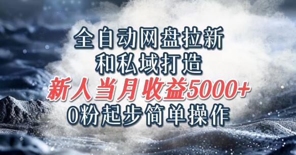 全自动网盘拉新+私域构建秘籍，0粉基础轻松上手，新人首月稳入5000+-聚财技资源库