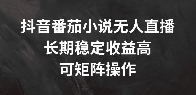 抖音无人直播番茄小说，长期稳定高收益，支持矩阵操作！-聚财技资源库