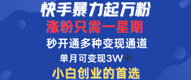 快手涨粉攻略，一周速破万粉秘籍，解锁多元变现模式！-聚财技资源库