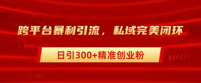 高效跨平台引流策略，打造私域闭环，日入300+精准创业粉丝秘籍-聚财技资源库