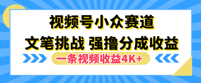 视频号小众赛道玩法，文笔挑战如何助力一条视频收益突破4K+-聚财技资源库