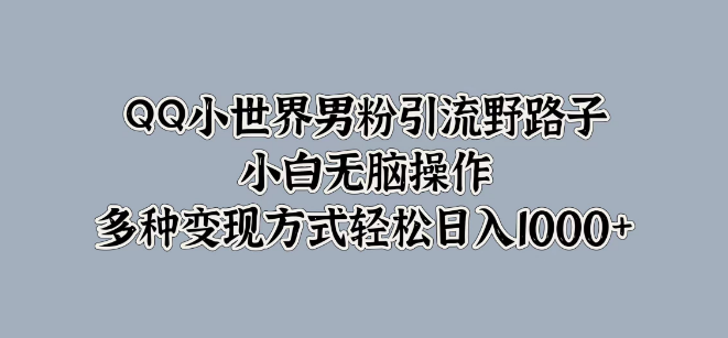 2024年QQ小世界男粉引流秘籍，小白友好型野路子，多样化变现策略助力日入1000+-聚财技资源库