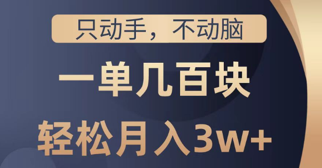 【无脑操作】轻松月入2W+，只动手不动脑，每单几百块，详细教程即学即用！-聚财技资源库