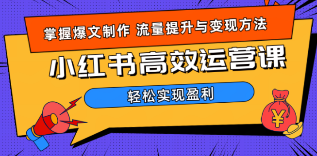 小红书运营实战宝典，全面解析操作技巧，价值远超980！-聚财技资源库