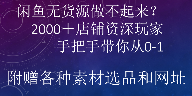 闲鱼市场潜力无限，资深玩家揭秘，2000家店铺成功之路，带你从零到一打造盈利店铺！-聚财技资源库