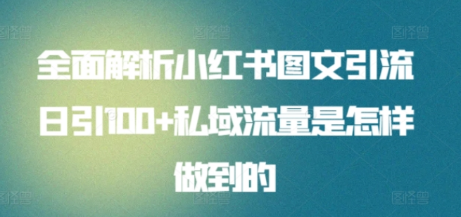 小红书图文引流实战技巧，日引100私域流量全面解析，助力私域运营增长！-聚财技资源库