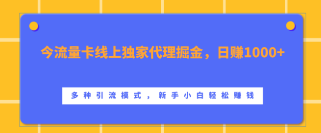 流量卡线上独家代理新机遇，日入千元，多种高效引流模式助力，新手小白也能轻松掘金！-聚财技资源库